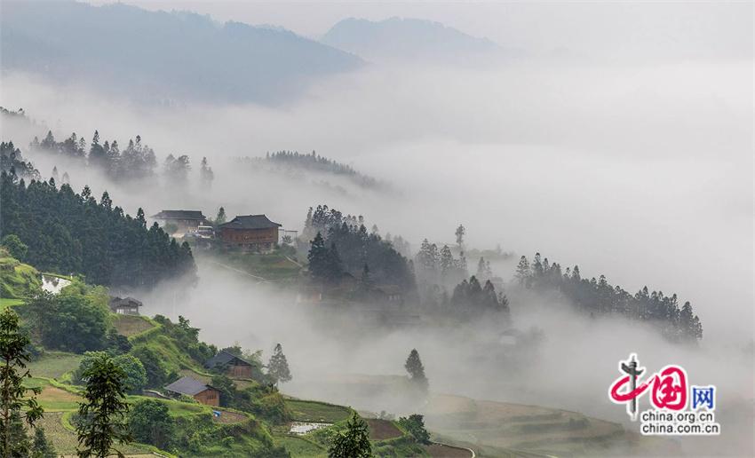 一路黔行：探秘贵州大山深处的有机小镇(图)