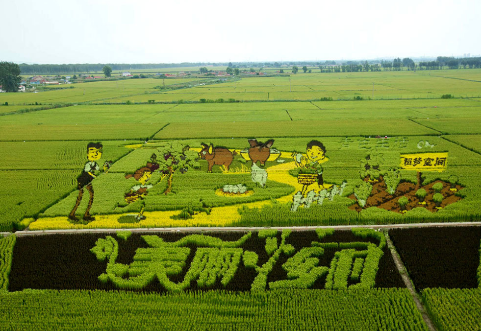 乡村文旅带头人 共绘振兴好“丰”景